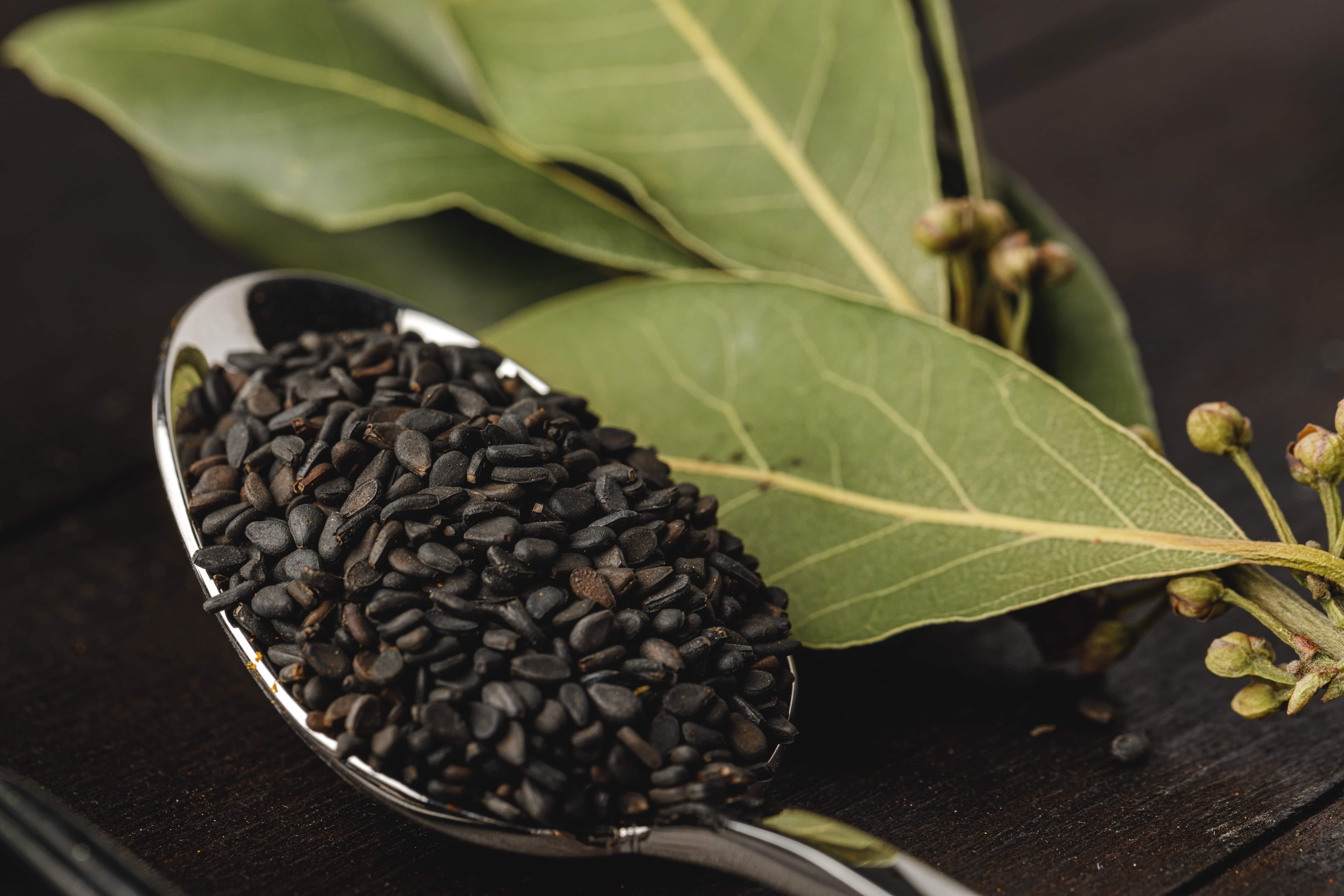 Black seeds (Nigella sativa) in a metal spoon beside fresh bay leaves on a dark wooden surface.
